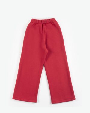 42210202003 2 (Copy)