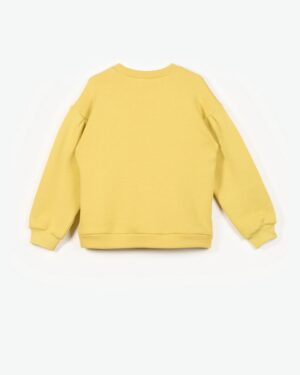 42210322064 2 (Copy)